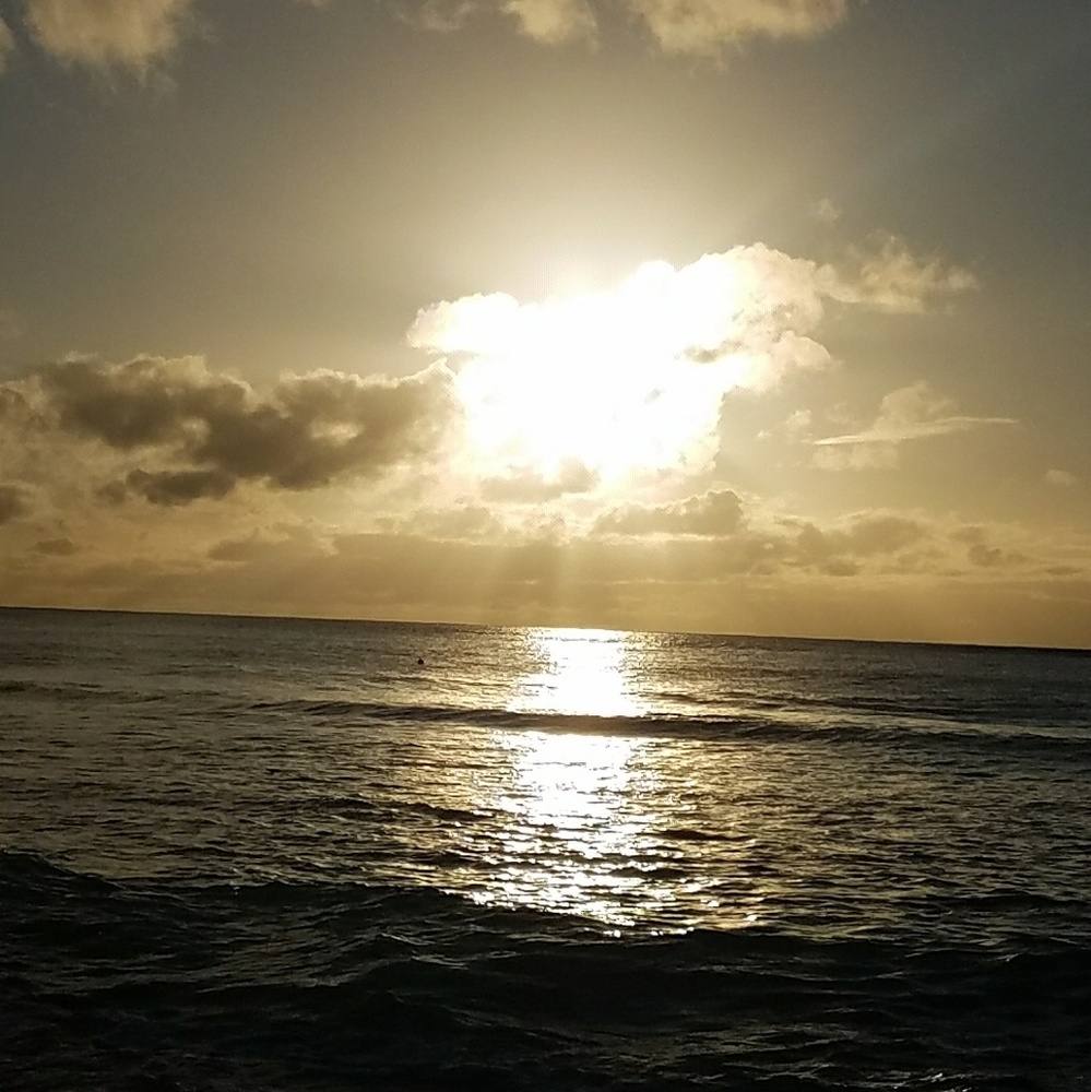 Meet your Posher, Sherry